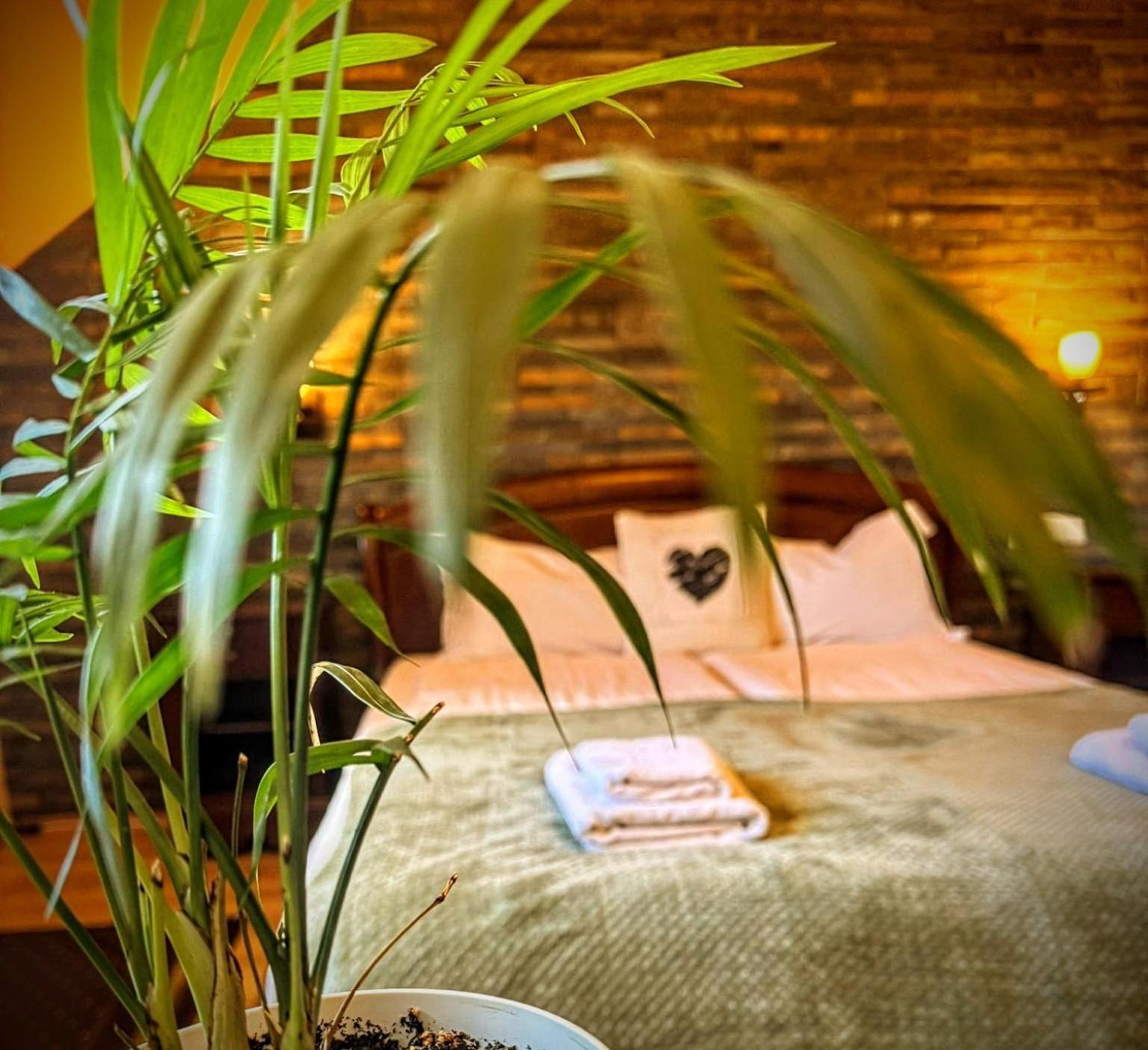 La Cuib Cristian Sibiu Hotel Ngoại thất bức ảnh