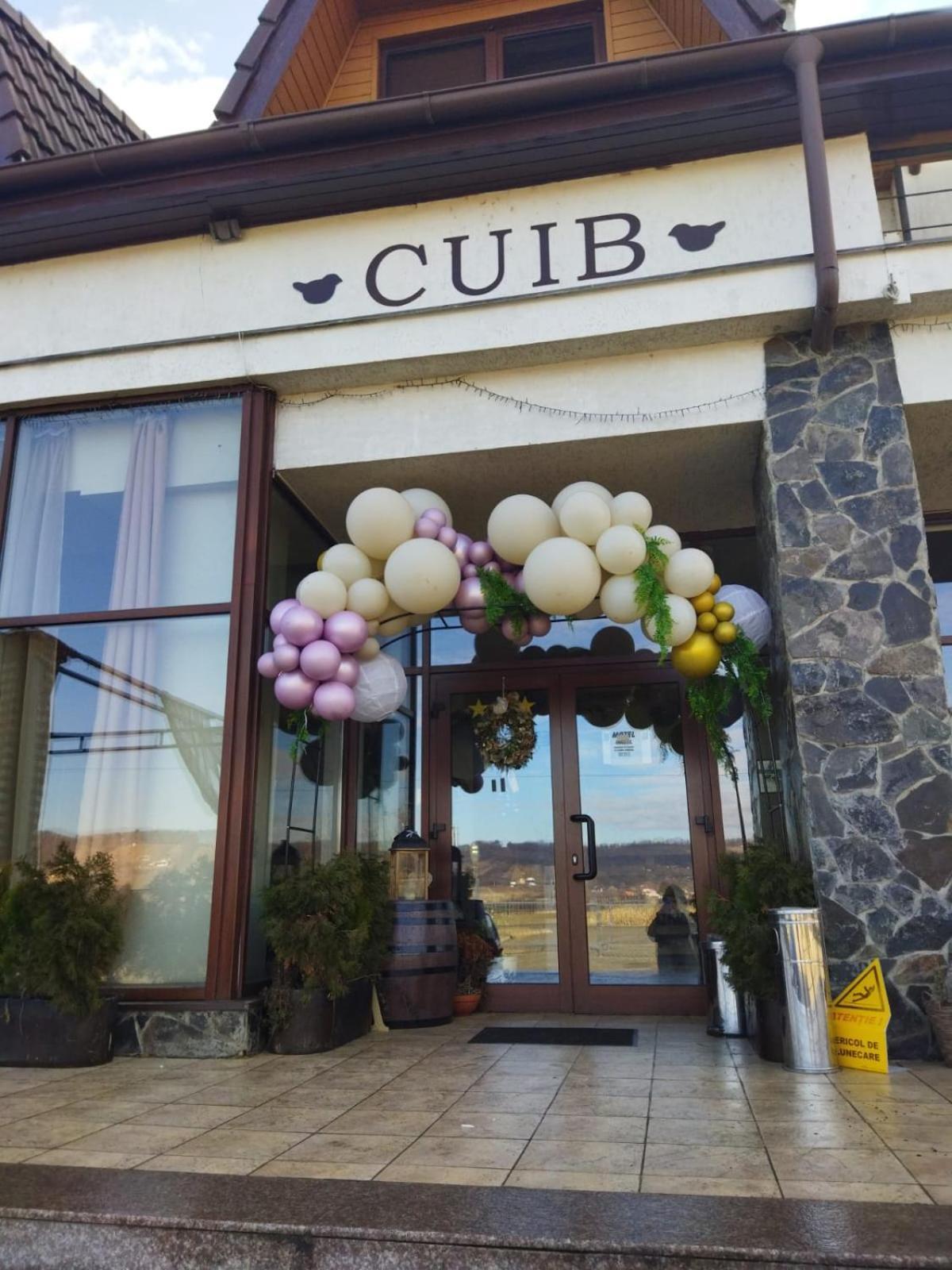 La Cuib Cristian Sibiu Hotel Phòng bức ảnh